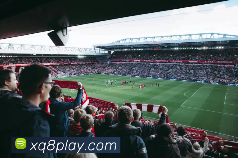 星期8娱乐城官网服务体系